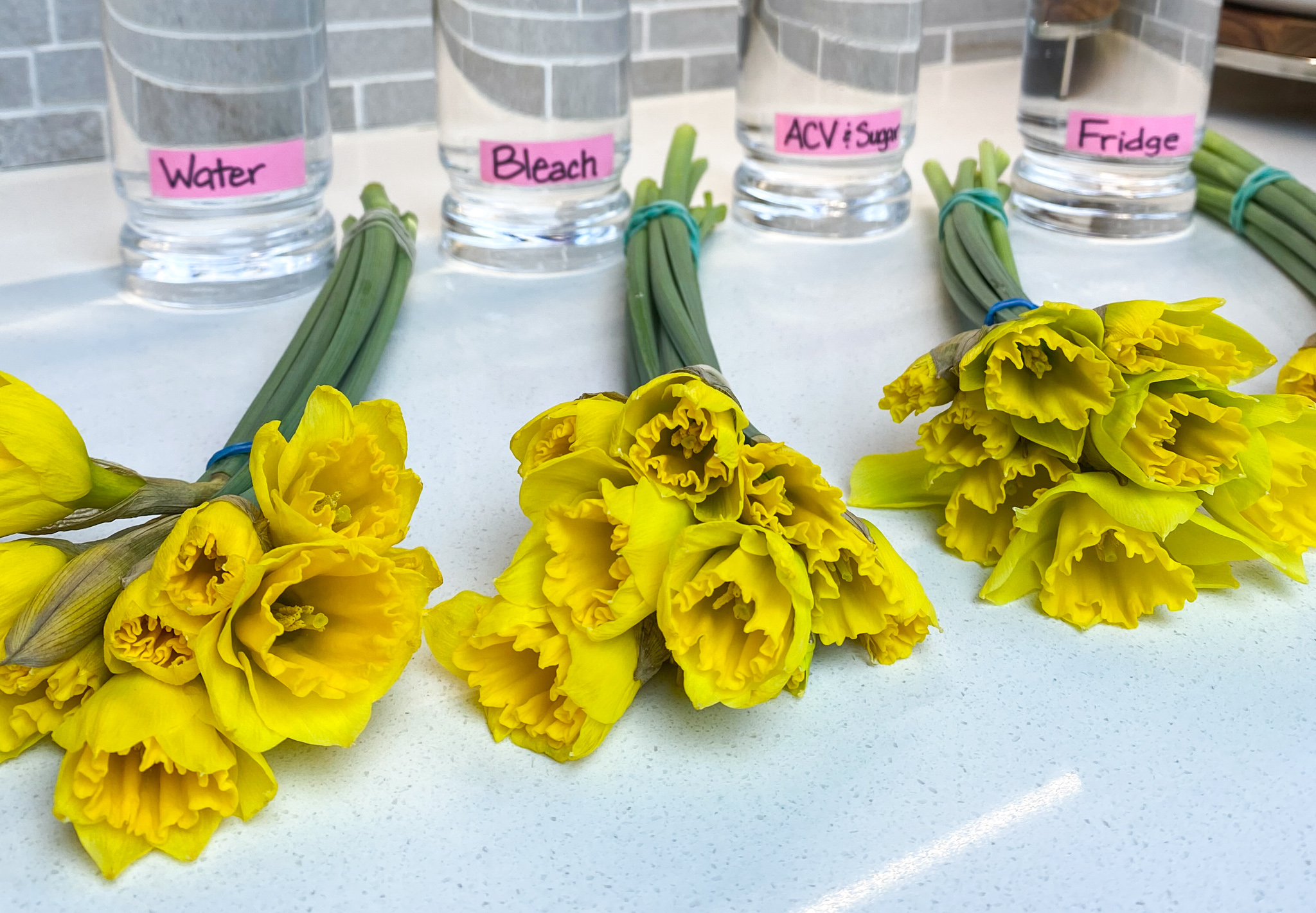 3 Best Ways to Keep Flowers Fresh – Tested